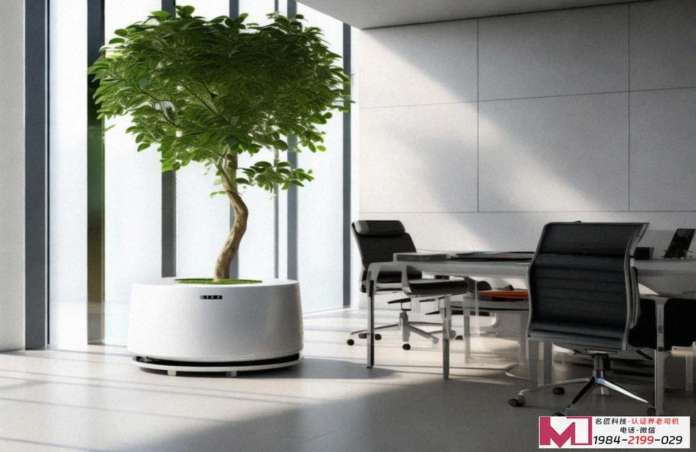 SCAN认证，企业出口美国的必备钥匙，别再走弯路了。