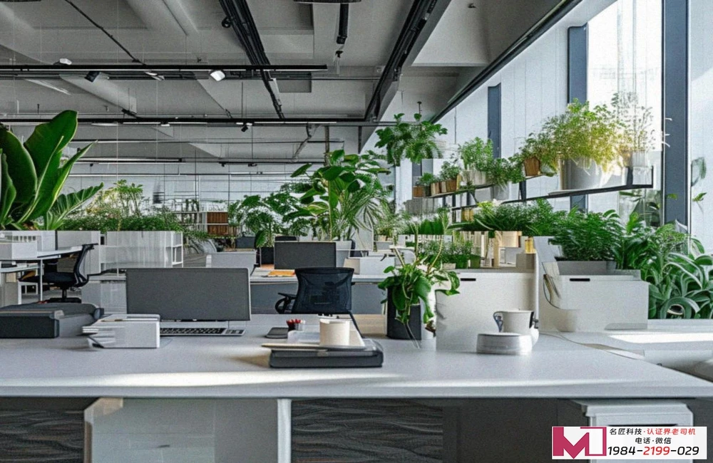 CMMI认证费用，精打细算指南，避开常见价格陷阱