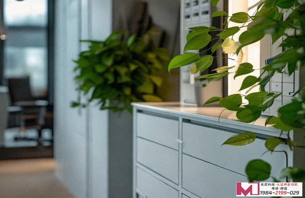 RSPO认证，打通绿色贸易壁垒，塑造可持续品牌形象。