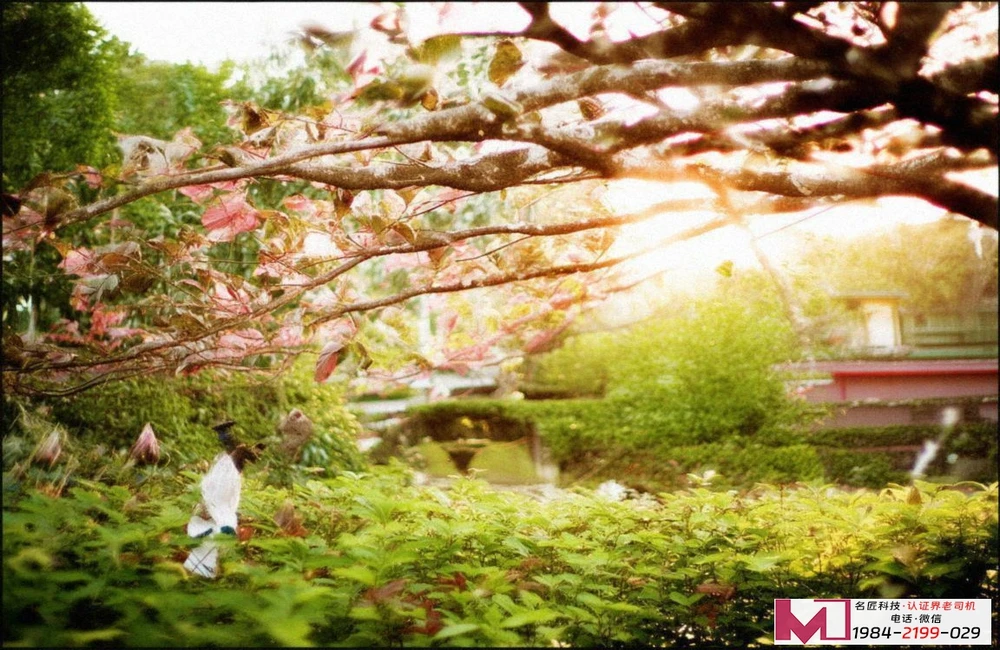 SA8000认证，提升企业软实力，赢得国际订单