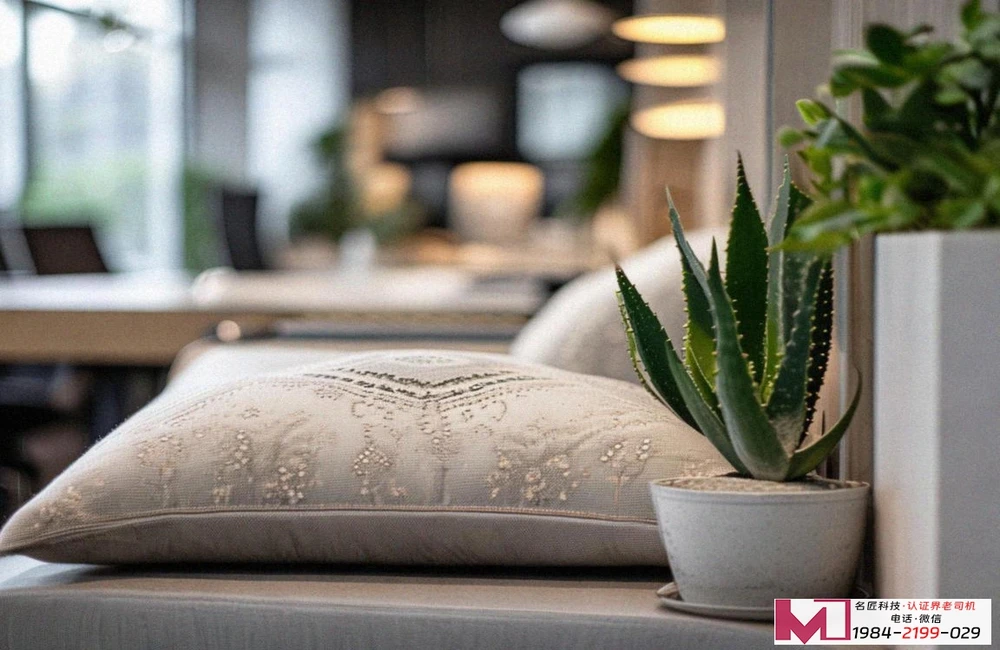 CMMI认证，别踩坑，听老陈聊透，轻松拿证