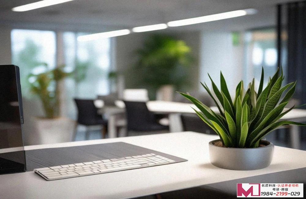 CMMI认证费用详解，企业预算怎么算，专家帮你避坑