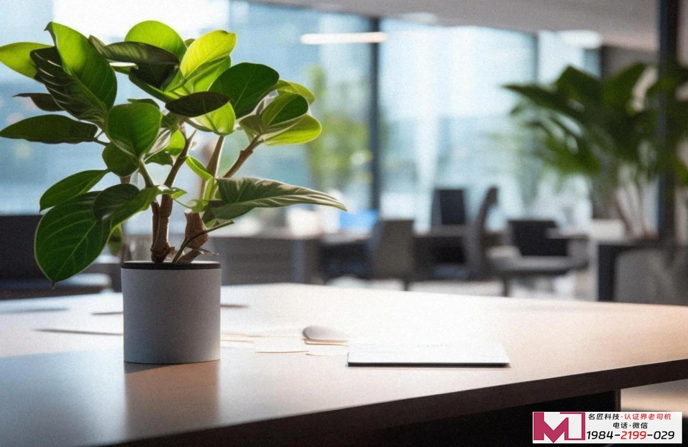 CMMI资质证书查询，验证企业软件研发能力，辨别认证真伪权威指南