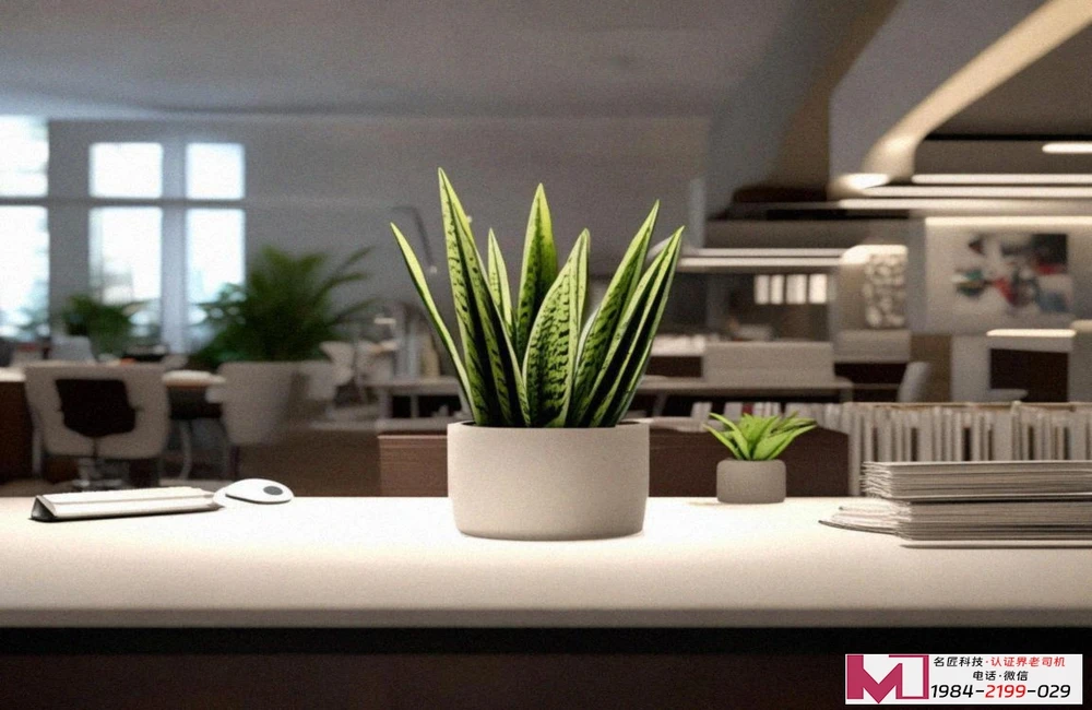 CMMI企业认证，快速提升软件能力，顺利拿下国际订单