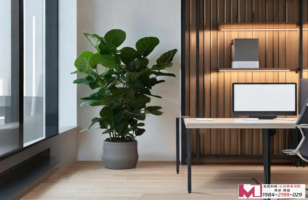 NFTC认证，企业升级必备，权威指南解读。