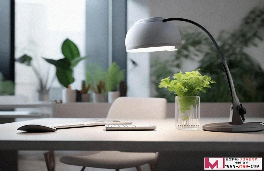 DSMM认证价值，构建数据防线，赢得商业信任