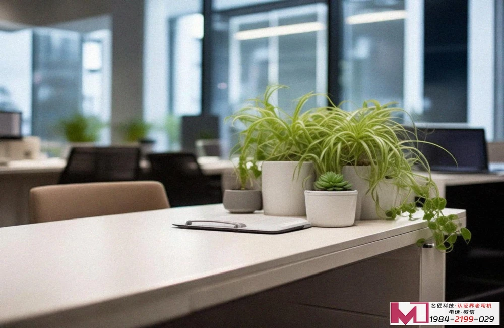 SNAS认证，提升安全管理水平，构建企业可信形象