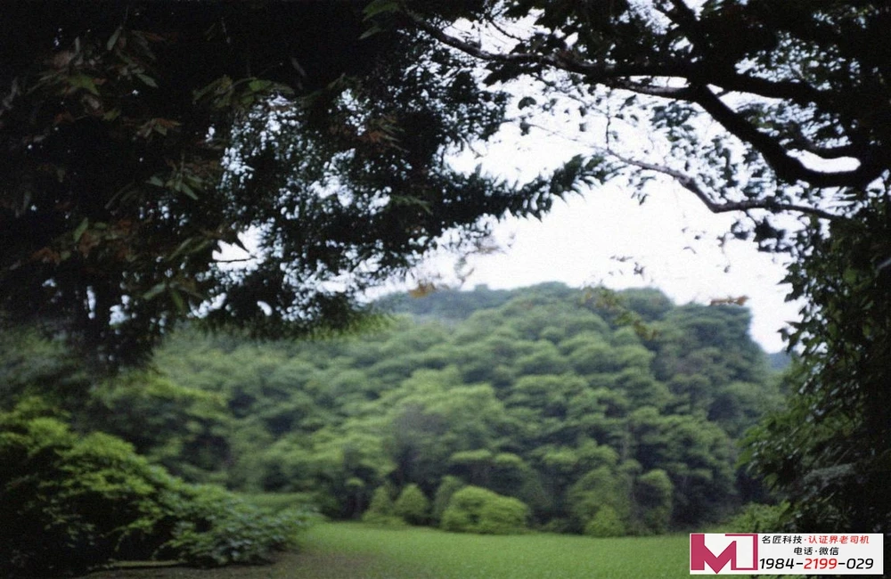 四川13485认证，企业合规必经路，专业服务铸未来