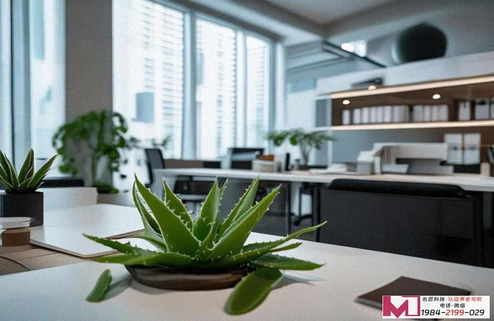 ISO22000食品安全认证，守护舌尖安全，构建企业信任基石