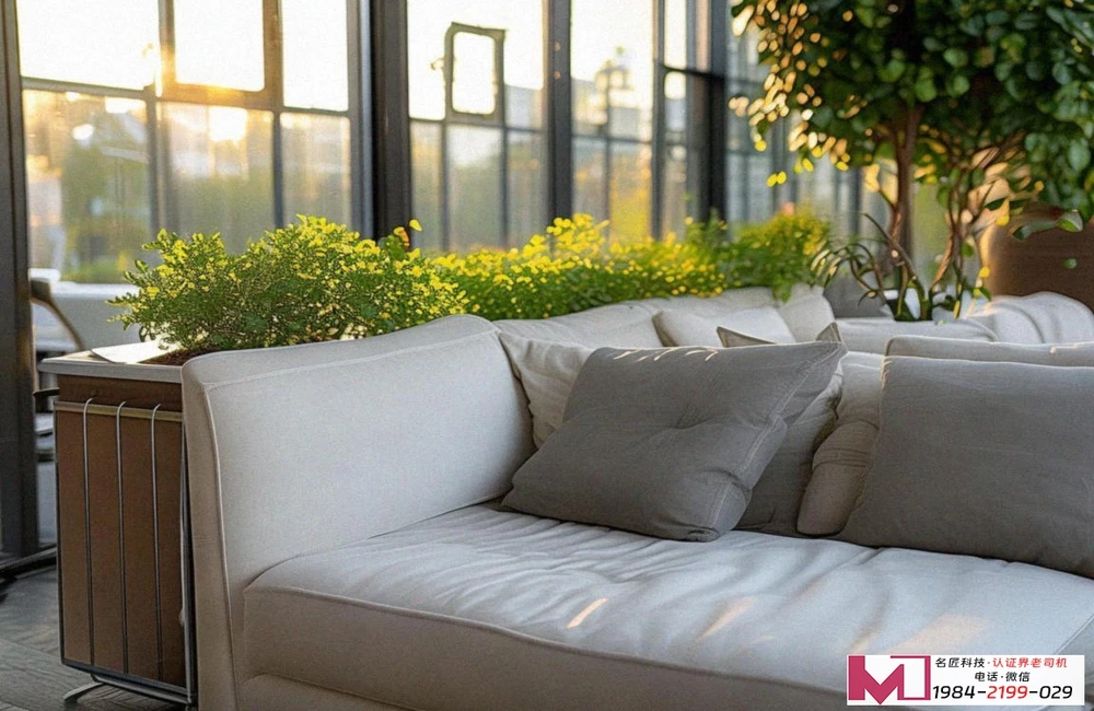 CS认证办理，企业必备“身份证”，权威指南助你选，