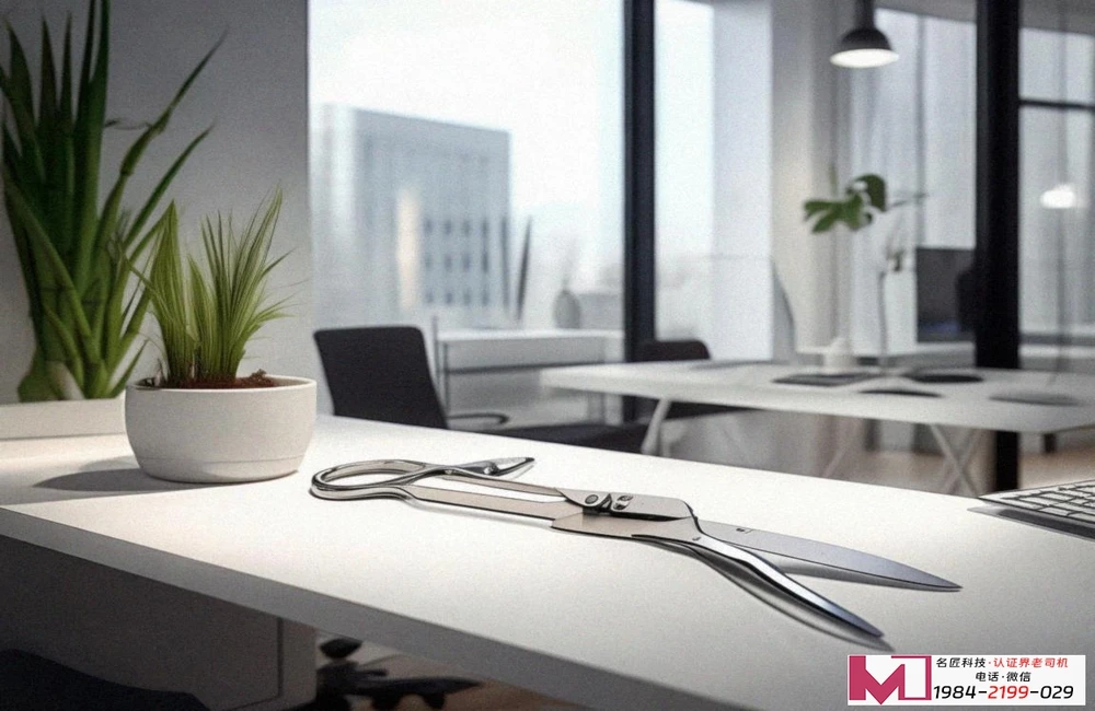 DSMM认证申请，轻松搞定攻略，企业数据管理必读