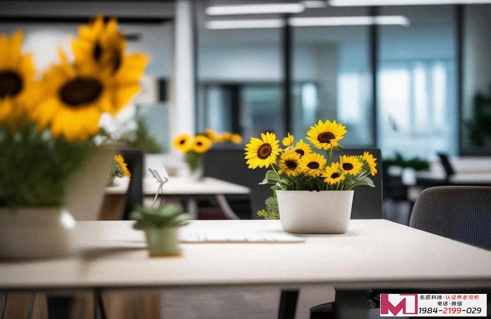 ABG认证，让国际业务畅行无阻，详解认证流程与核心价值