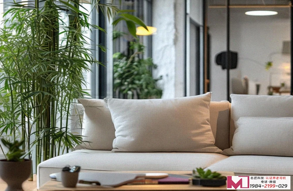 ISO22000与HACCP认证区别，关键决策指南，精准选择认证方案。