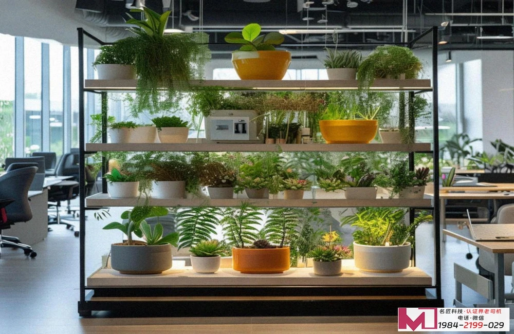 ISO14001认证证书，企业绿色名片，权威认证指南