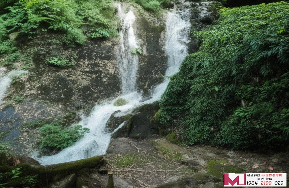 HACCP体系认证，解决食品行业风险，助力企业赢得消费者信任