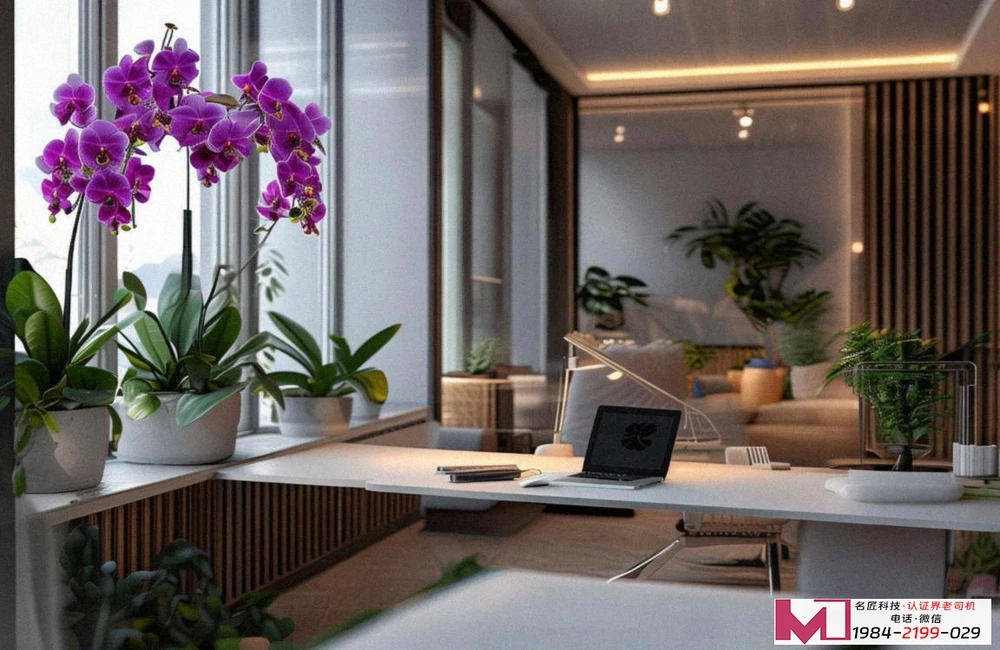 信息系统安全集成服务一级证书，为什么这么火，