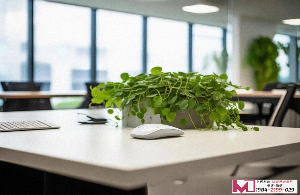 信息安全管理,为何越来越重要了 信息安全管理,为何越来越重要了