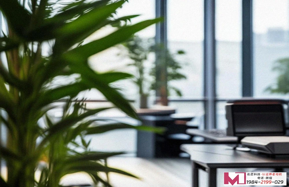 CCAA食品安全管理体系真题解析，攻克核心考点，提升审核能力