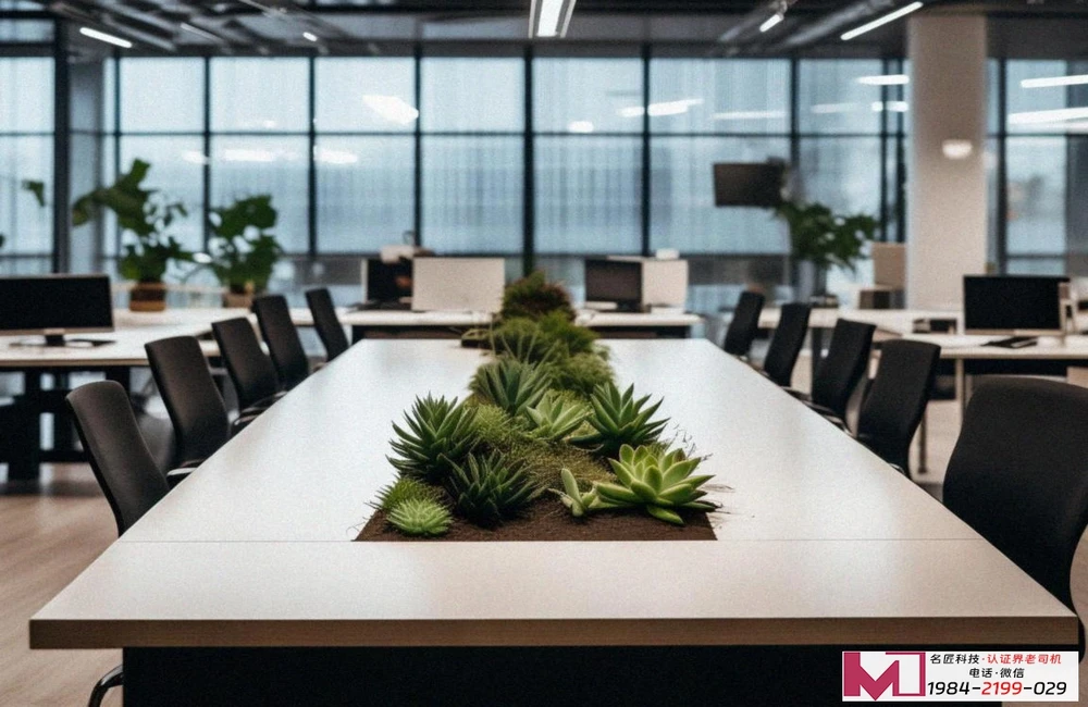 软件安全体系认证，护航企业数字未来，铸就市场竞争金盾，