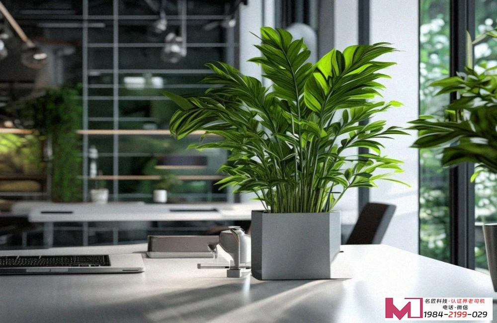 信息安全认证，企业合规的盾牌，市场信任的基石