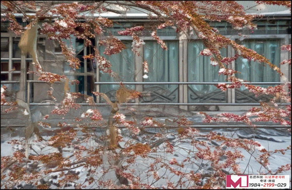 管理体系认证,提升企业信誉,增强市场竞争力