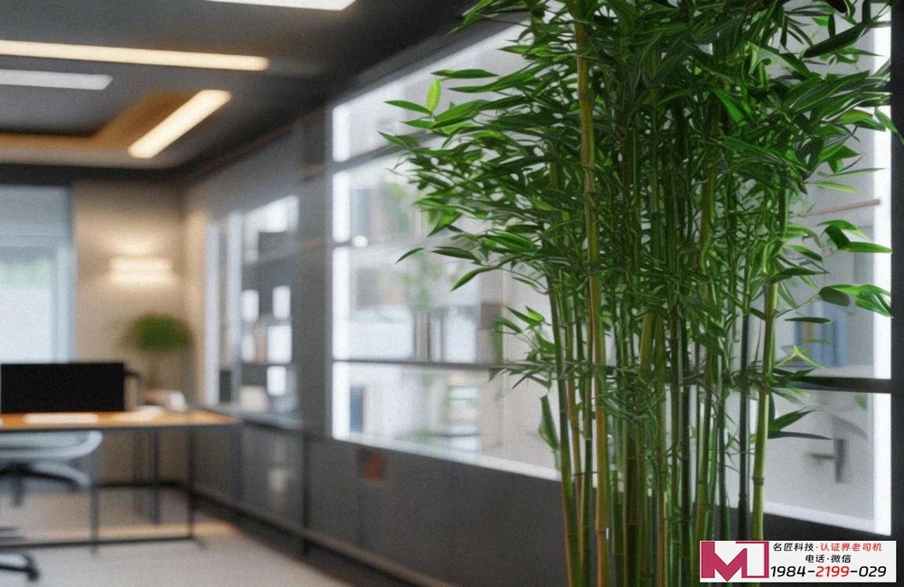 信息安全服务资质认证费用，详细报价解析，企业如何省钱避坑