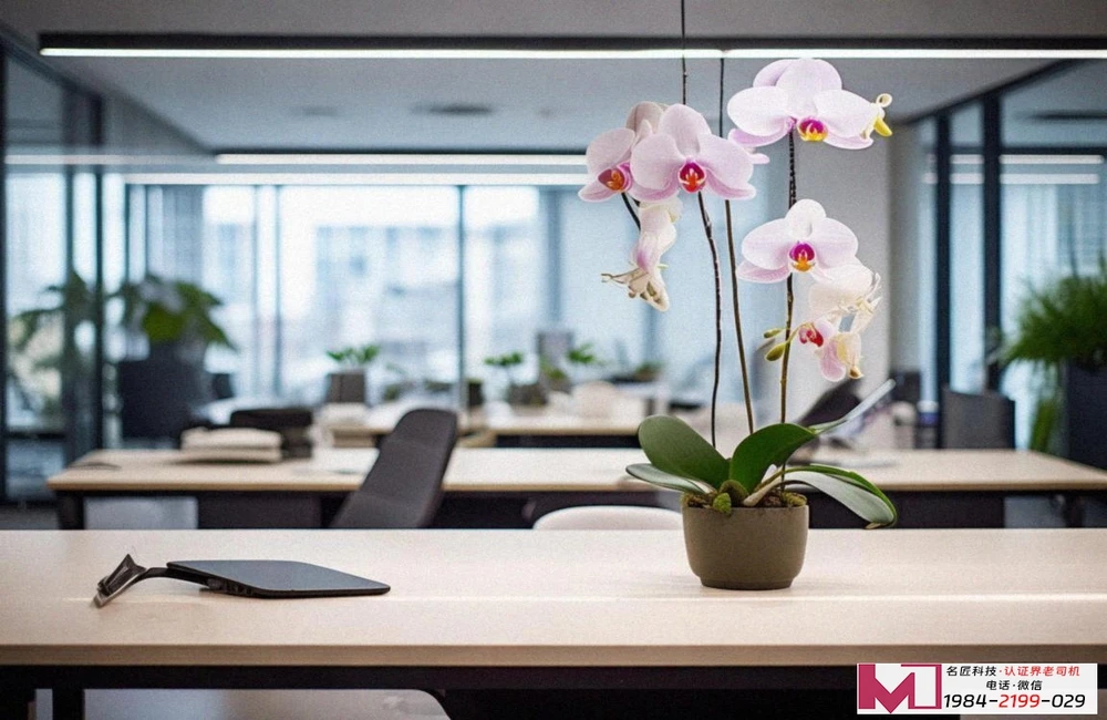 职业安全认证怎么选,避开误区,权威解答在这里 职业安全认证怎么选,避开误区,权威解答在这里