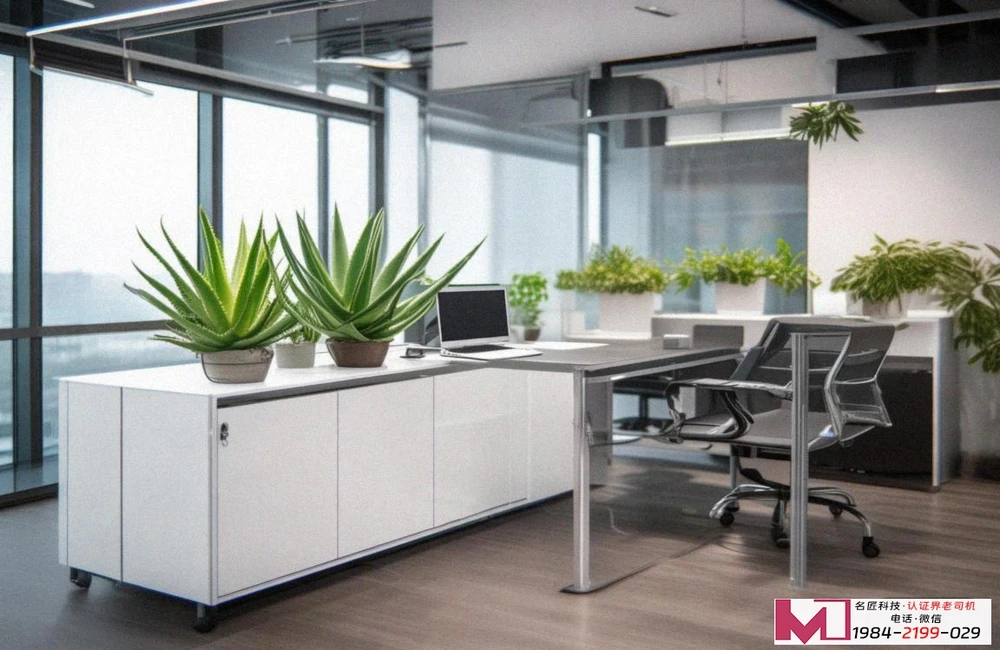 ISO体系认证如何办理，揭秘全流程，化解企业办理困惑