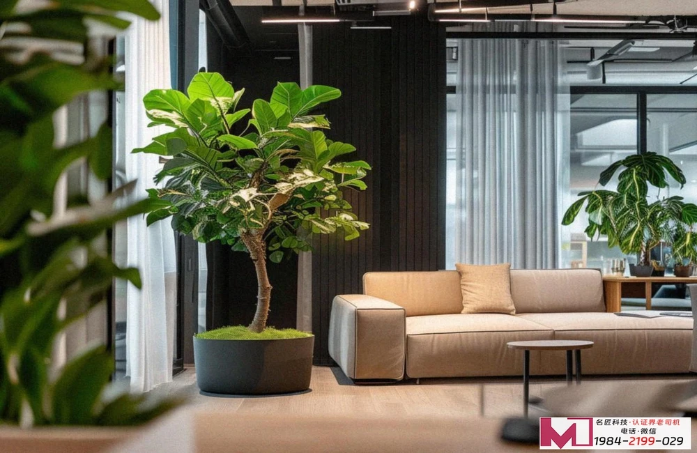 有机食品认证，提升品牌销量，守护舌尖安全