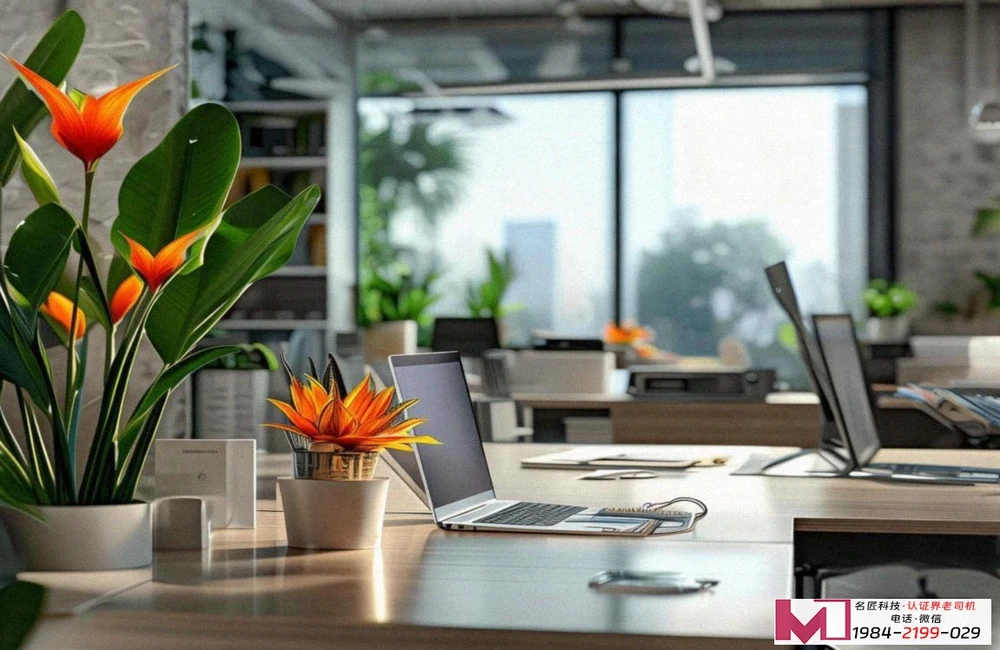 有机认证收费标准详解，企业成本精准预算，认证价值最大化解析