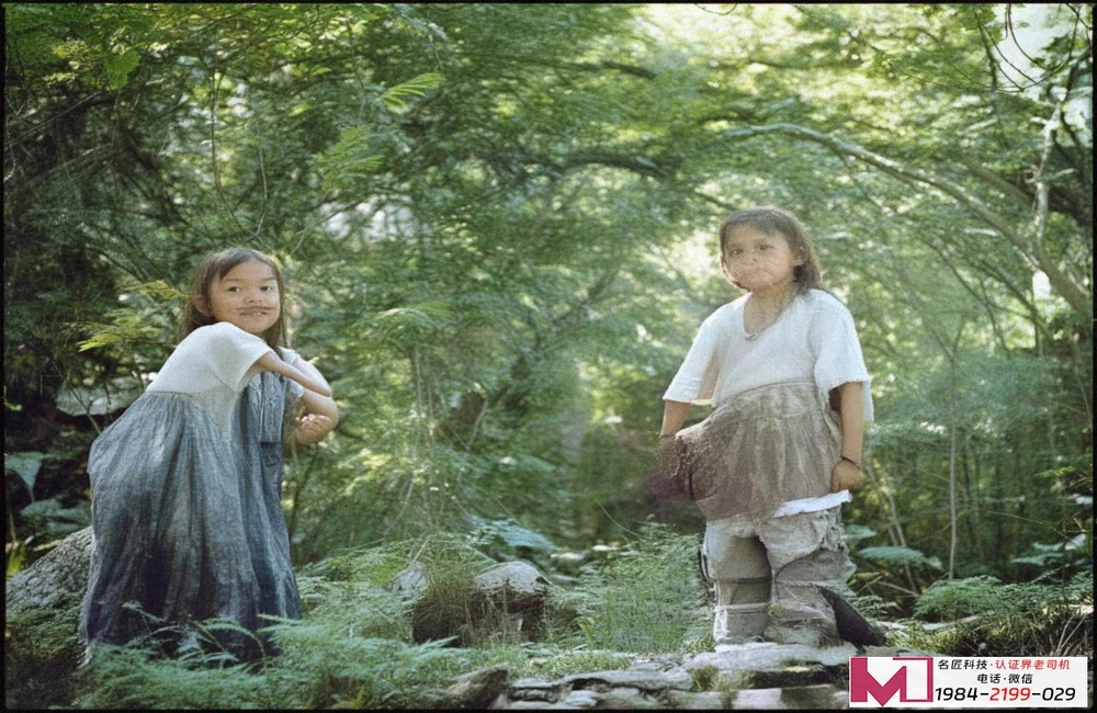 ISO20000认证，保障信息安全，提升服务管理效率