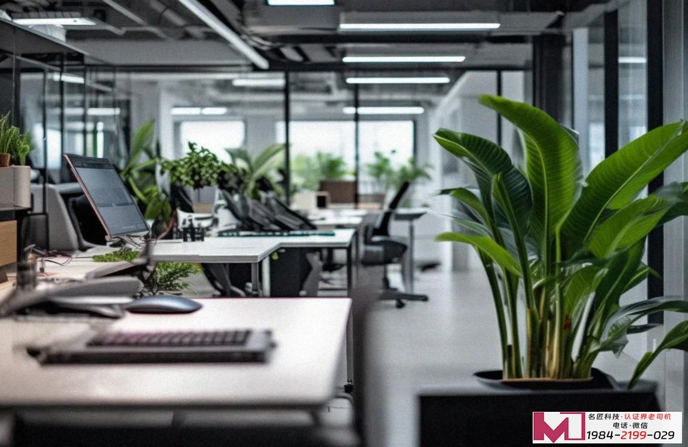 SEO文章绿色认证与有机认证，五大核心差异，助您精准选择