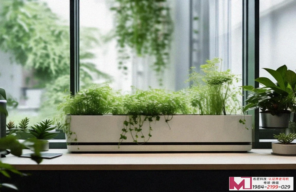 信息安全服务资质证书，搞定这几点，认证不踩坑，广州企业必读