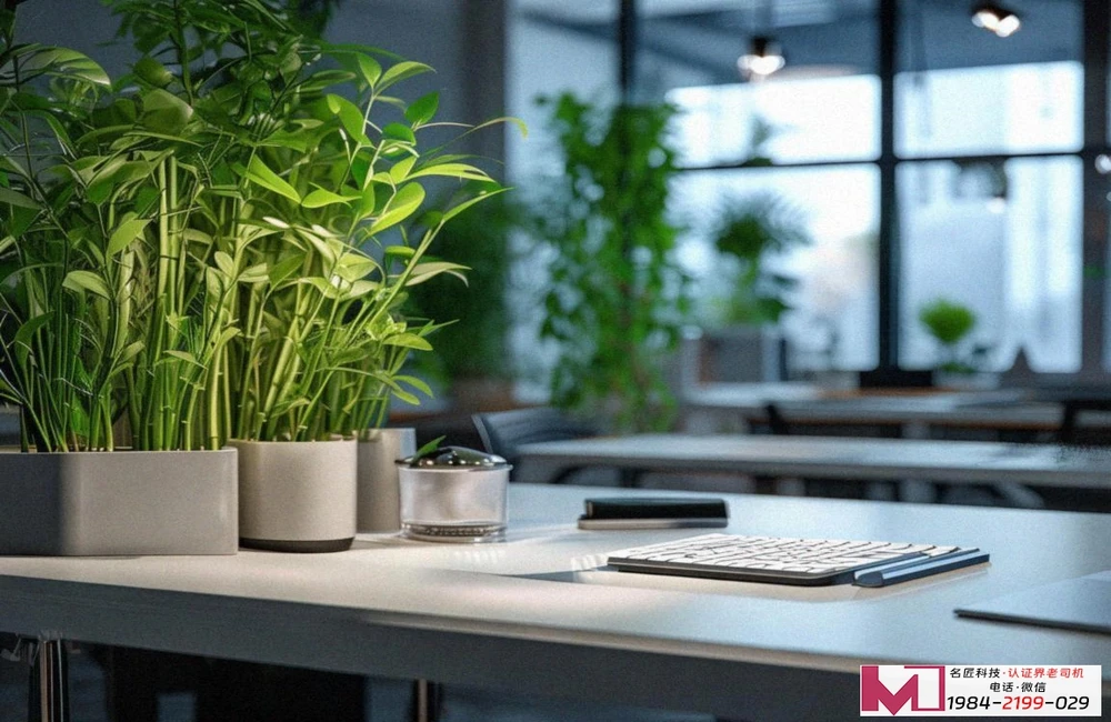 知识产权管理体系认证证书，提升企业核心竞争力，守护创新价值护城河。