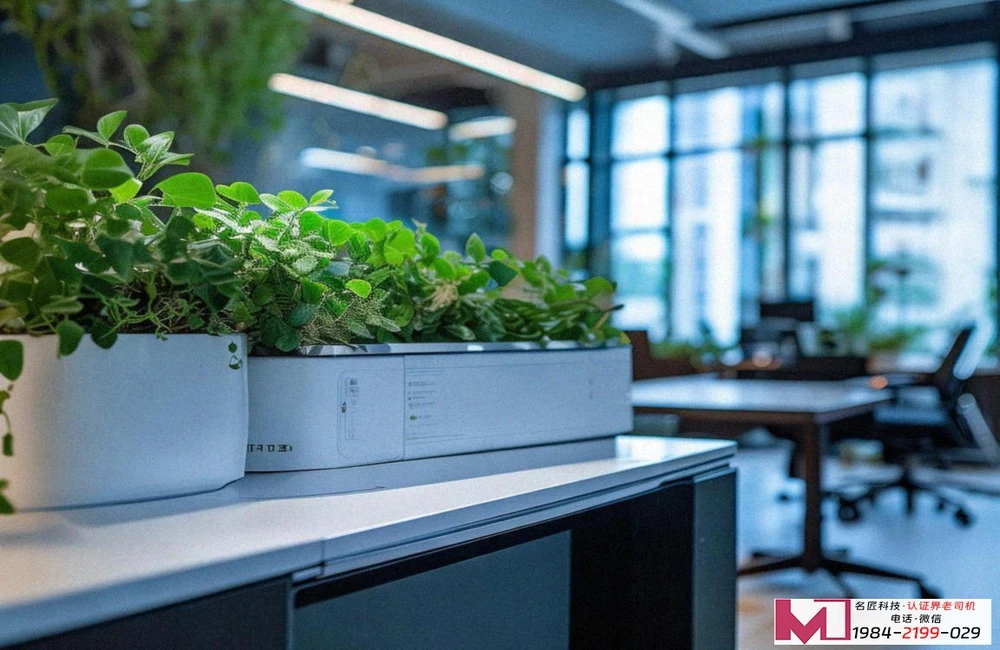 三级信息安全技术，企业必备的防护网，如何高效落地