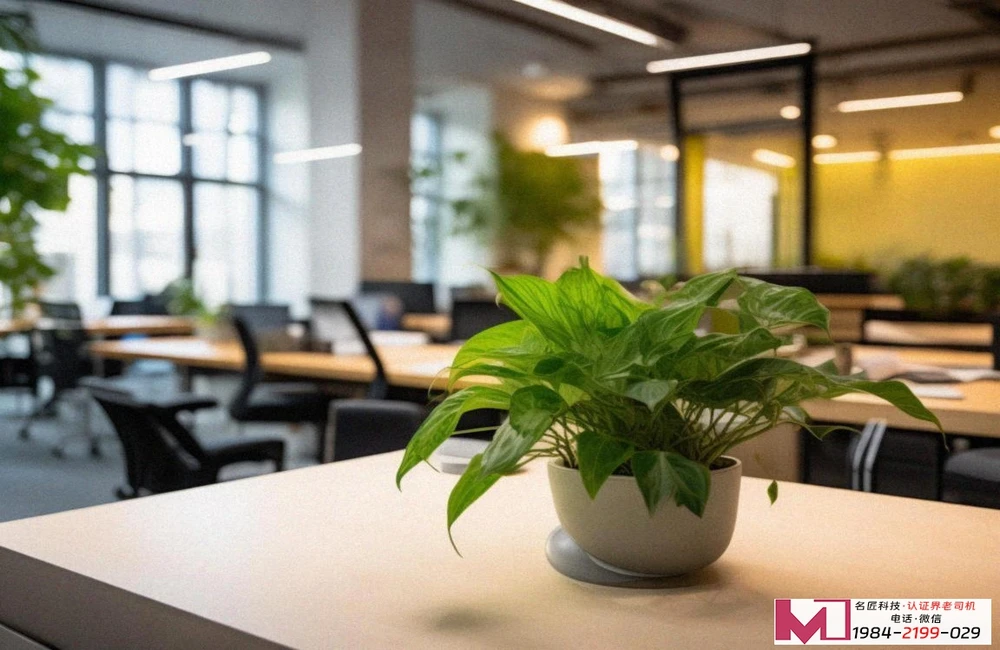 知识产权管理体系认证机构有哪些，权威官方名单，企业避坑指南