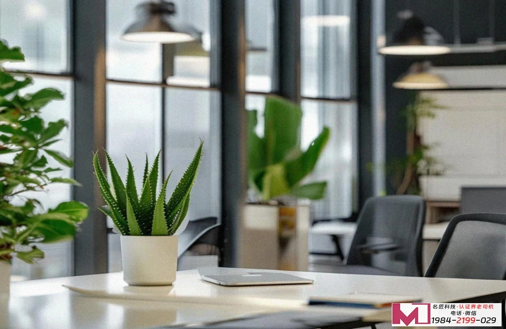 环境健康安全认证，企业稳健发展的绿色通行证