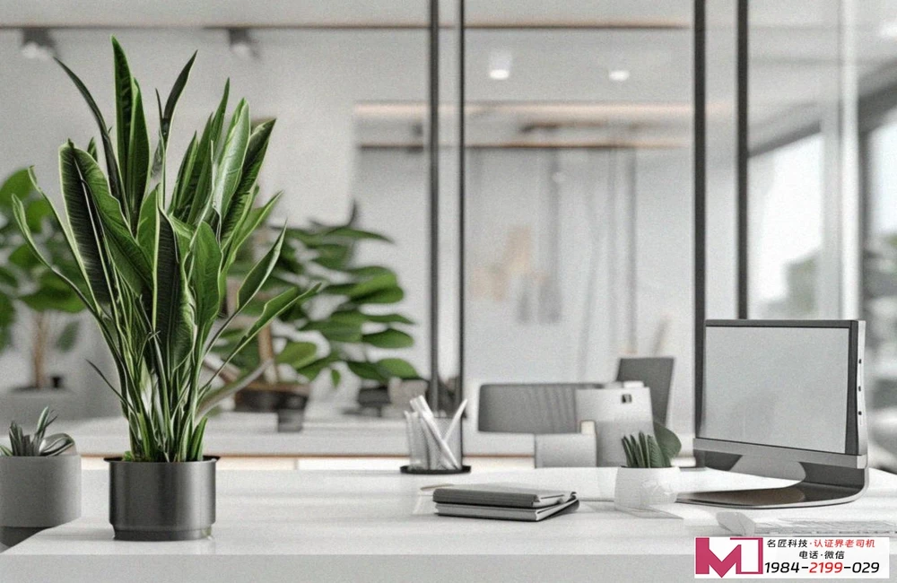 ISO三体系认证，提升企业核心竞争力，打造可持续发展基石