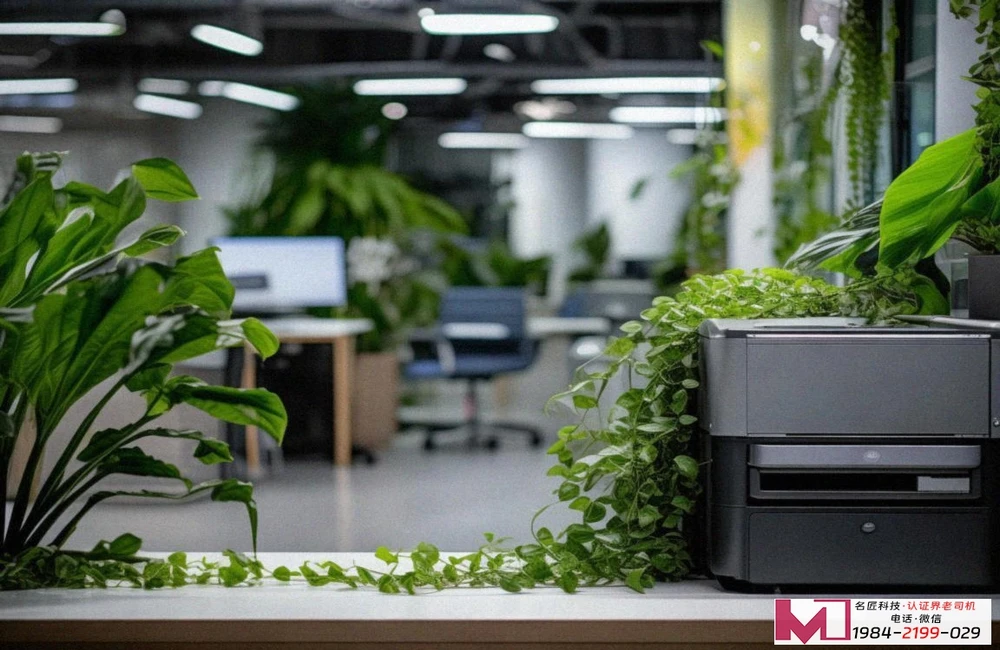 有机化妆品认证，行业深度解读，提升品牌可信度。