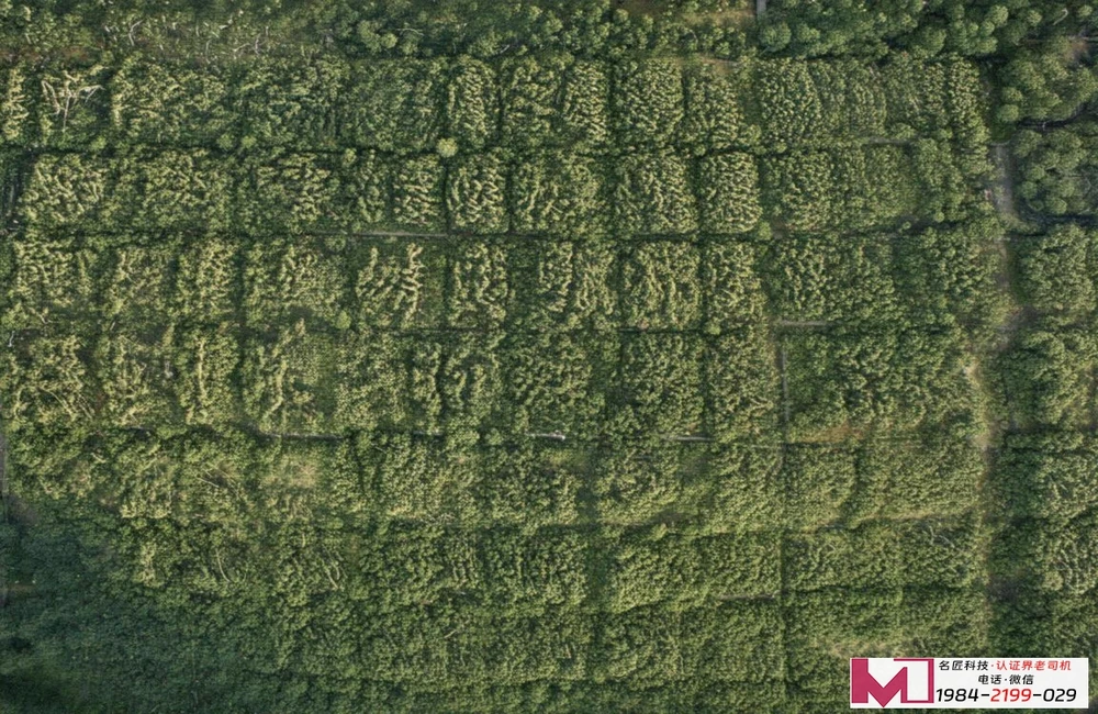 质量管理体系认证新版解读，助力企业高效合规，塑造核心竞争力，