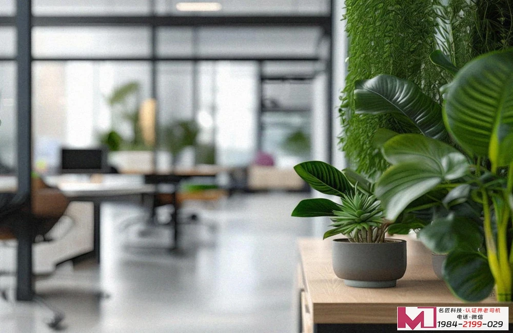 质量管理体系认证，企业生存发展根基，打造卓越品质核心