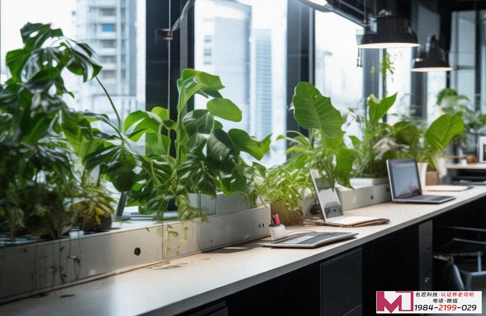 ISO9001食品安全管理体系，企业如何构建，快速通过认证