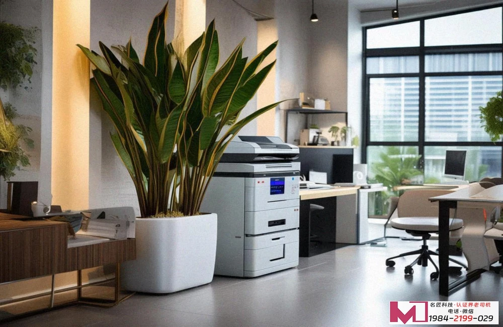 环境管理体系认证，提升竞争力，实现可持续发展新动能