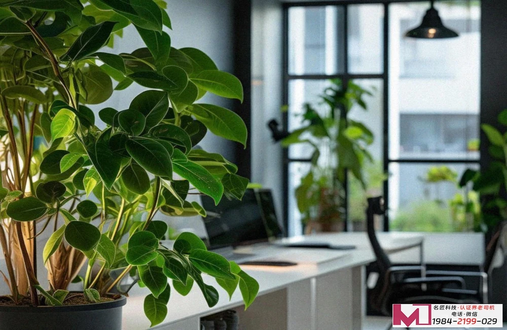 汽车质量管理体系认证办理，企业通行证怎么拿，专家说透全流程