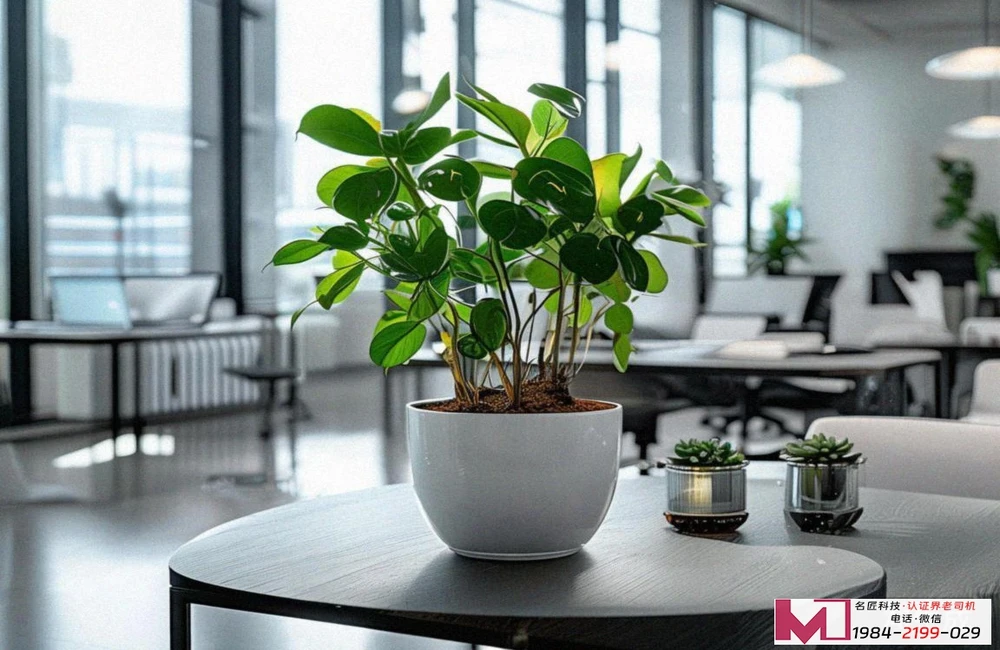 小微企业质量管理体系认证，快速提升竞争力，高效通过权威审核