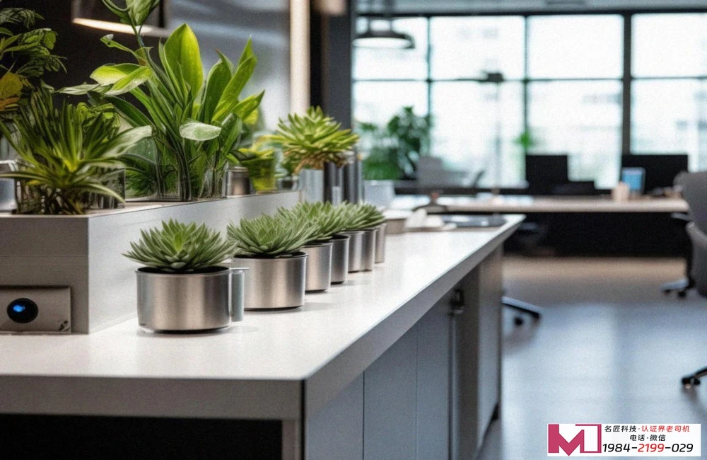 环境管理体系认证，如何快速获取，助力企业绿色发展