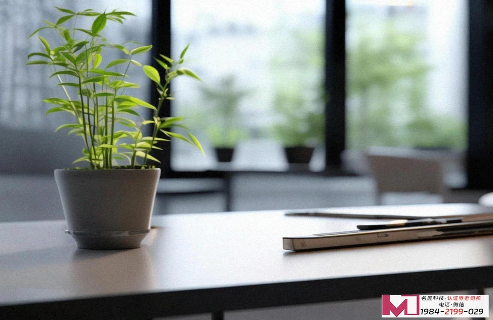 环境管理体系认证，企业绿色通行证，如何高效获取，