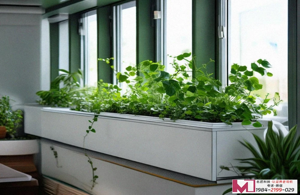 环境管理体系认证证书编号,隐藏着什么信息,企业如何查证有效性 环境管理体系认证证书编号,隐藏着什么信息,企业如何查证有效性