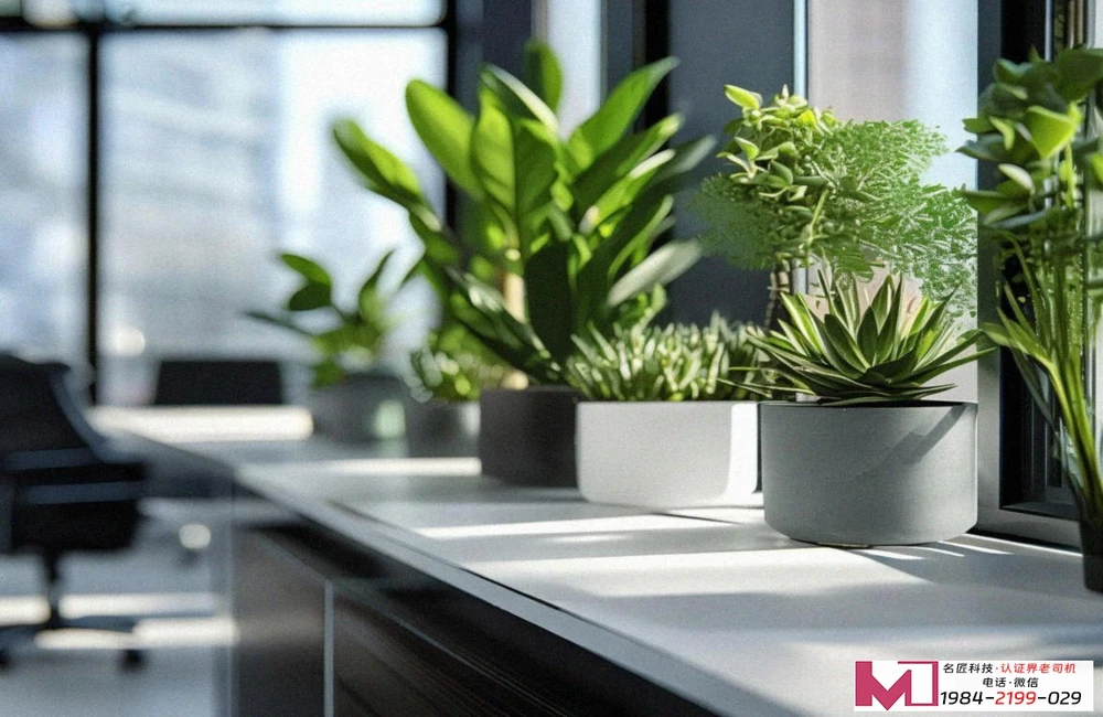 环境管理体系证书办理,打通投标绿色通道,让企业环保合规无忧 环境管理体系证书办理,打通投标绿色通道,让企业环保合规无忧