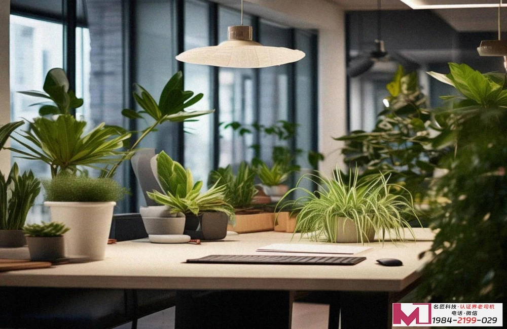 做3体系认证要多少钱，这个问题，几乎每个企业主都会问，但答案，往往五花八门，让人更困惑，别急，我是认证老陈，在圈里摸爬滚打快二十年，今天，咱们就掰开了，揉碎了，好好聊聊这笔账。